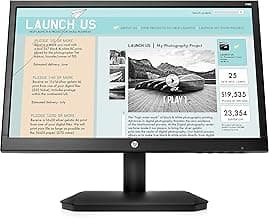 HP V190 18.5 Inch Diagonal Monitor