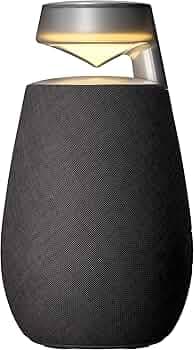 LG XO2TBK XBOOM 360 Wireless Speaker with Omnidirectional Sound, 20W, 15 Hours Battery