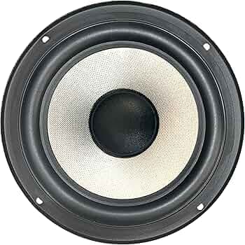 BASPRO SW-601 6.5-inch Long Through 60W RMS / 4-ohms Subwoofer with 300W Peak Power for BassTube, Home Theater & DIY Projects Silver