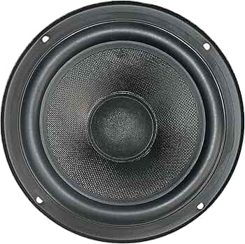 BASPRO SW-601 6.5-inch Long Through 60W RMS / 4-ohms Subwoofer with 300W Peak Power for BassTube, Home Theater & DIY Projects (Black)