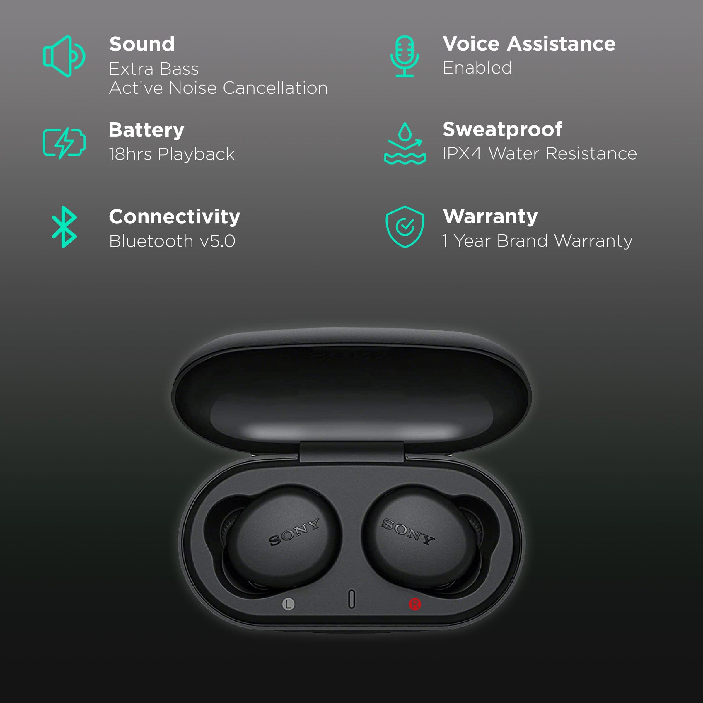 Sony WF-XB700 In-Ear Truly Wireless Earbuds with Mic (Bluetooth 5.0, Black)