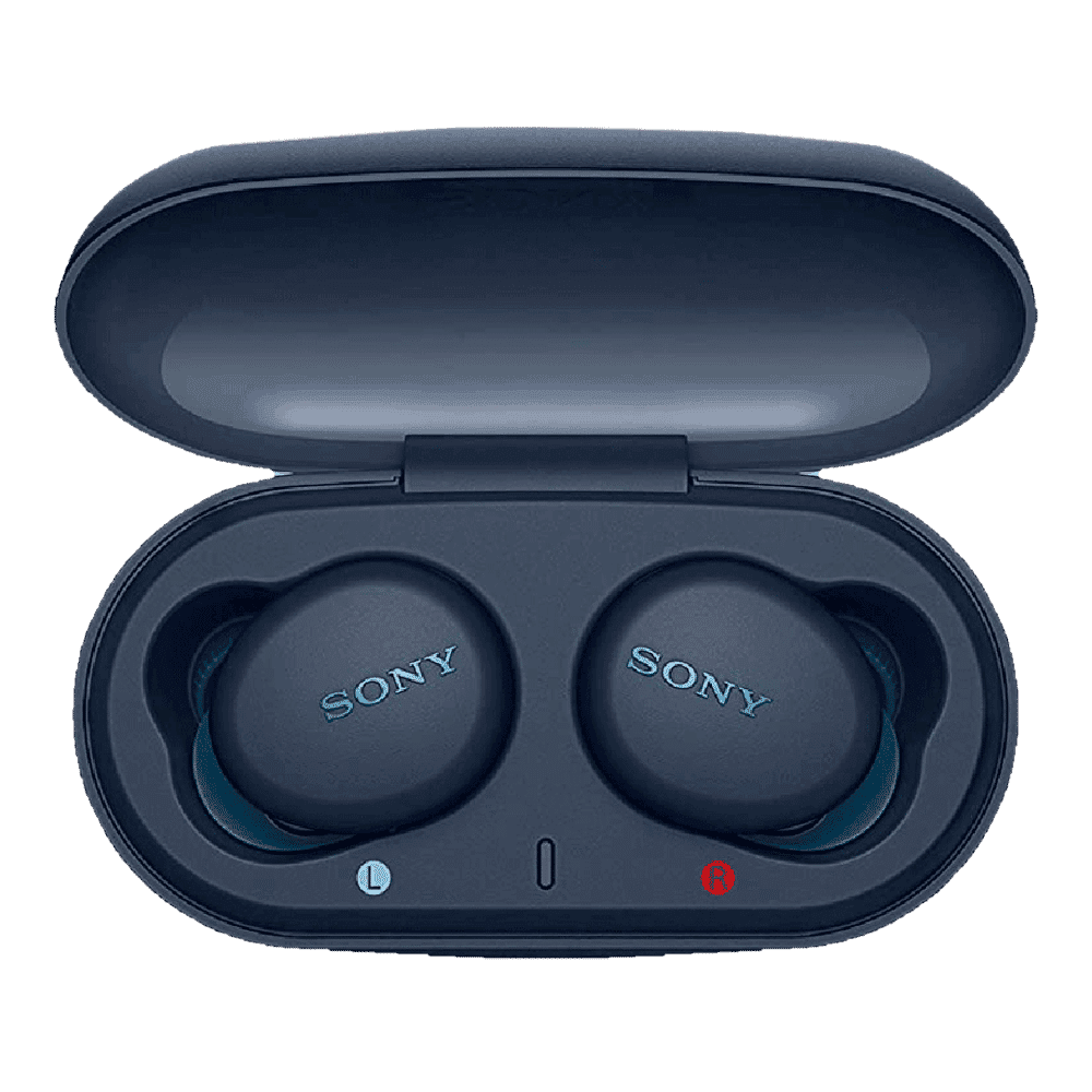Sony WF-XB700 In-Ear Truly Wireless Earbuds with Mic (Bluetooth 5.0, Blue)