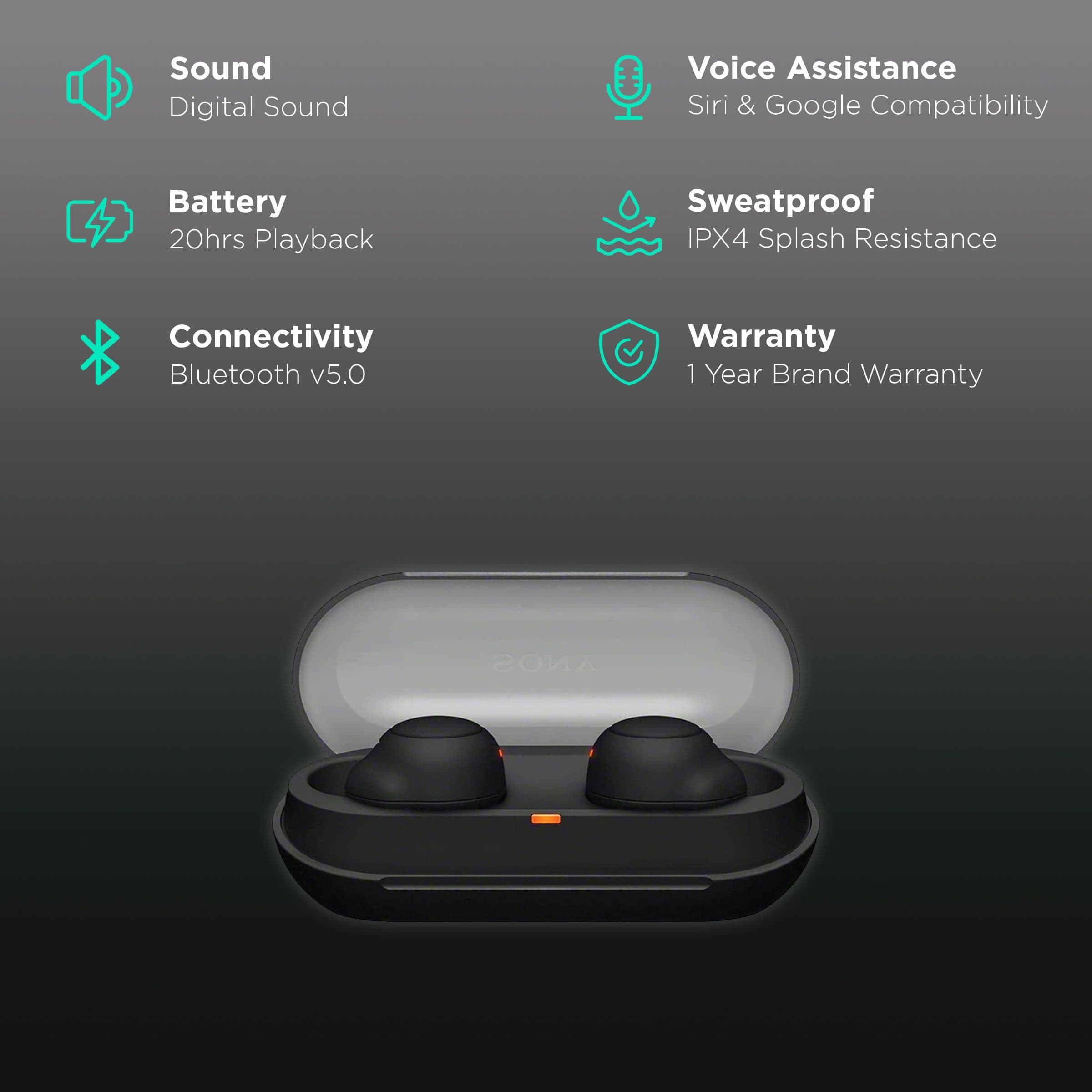 Sony WF-C500 In-Ear Truly Wireless Earbuds with Mic (Bluetooth 5.0, 360 Audio Quality, Black)