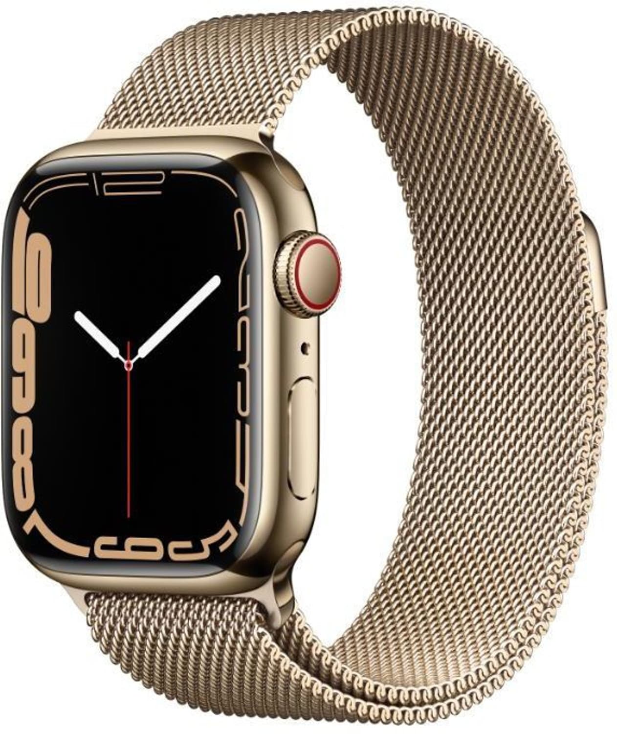 APPLE Watch Series 7 GPS + Cellular, MKJ23HN/A 41 mm Stainless Steel Case (Grey Strap, Regular)