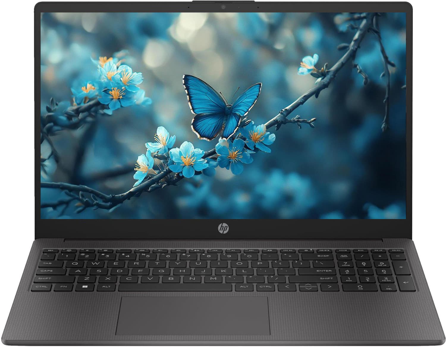 HP 255 G10 (2025) AMD Athlon Dual Core 7120U - (8 GB/256 GB SSD/Windows 11 Home) 255 G10 Thin and Light Laptop