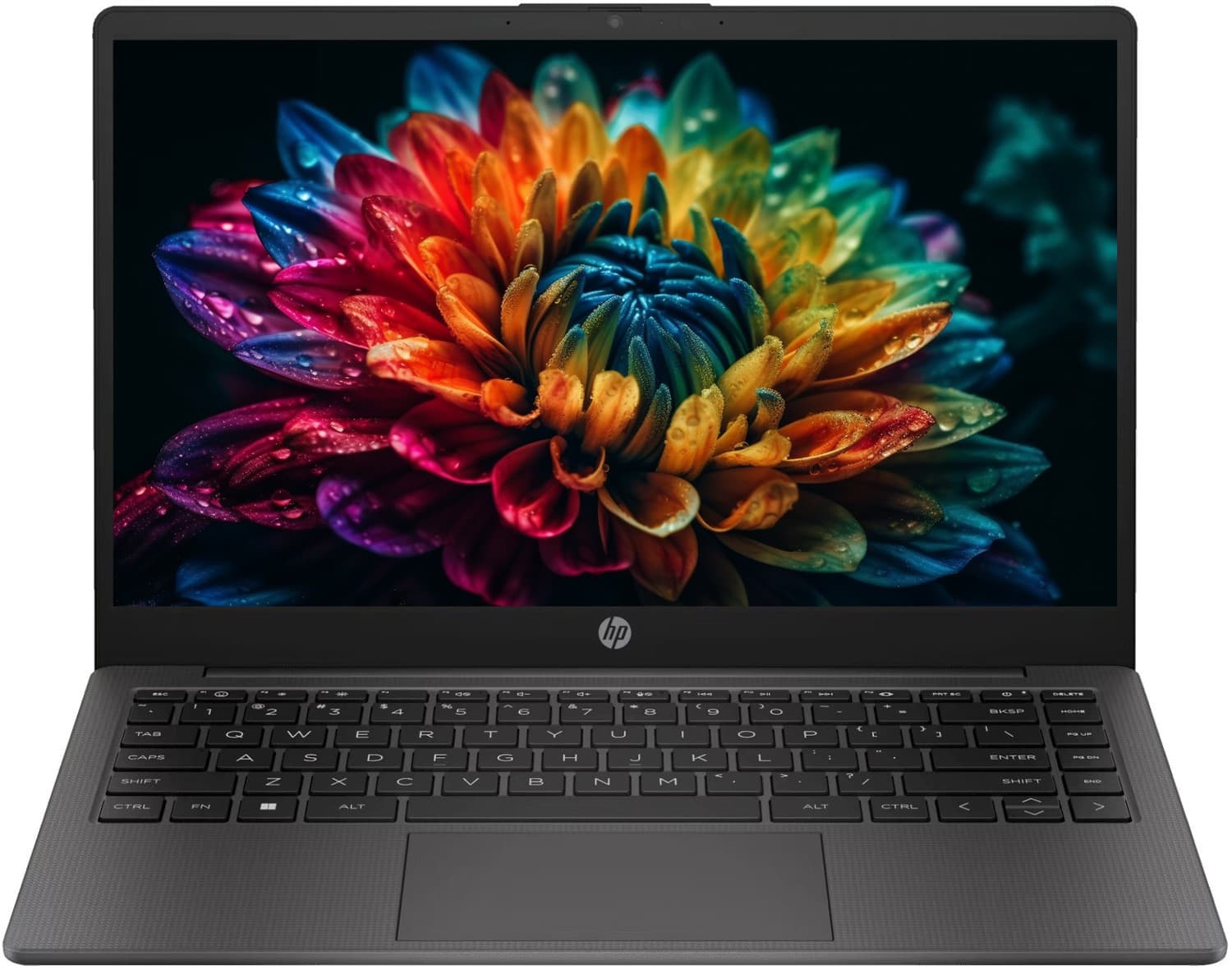 HP 245 G10 (2025) AMD Ryzen 5 Quad Core 7520U - (8 GB/512 GB SSD/Windows 11 Pro) 245 G10 Thin and Light Laptop