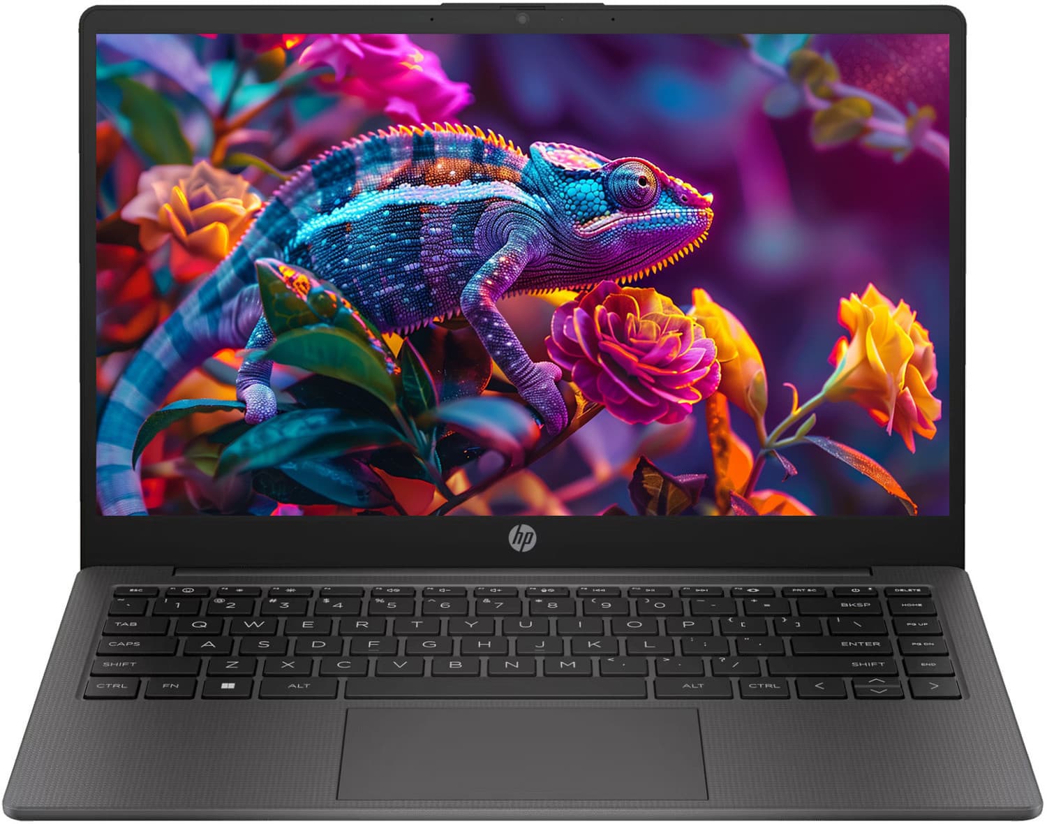 HP 245 G10 (2025) AMD Ryzen 5 Quad Core 7520U - (8 GB/512 GB SSD/Windows 11 Home) 245 G10 Thin and Light Laptop