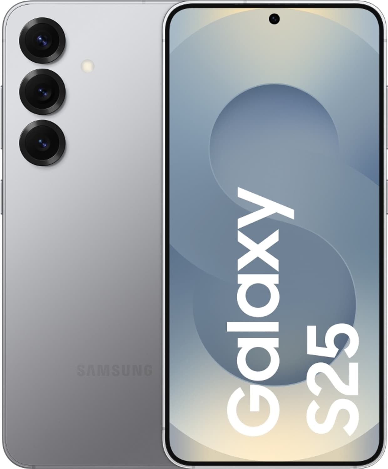 Galaxy S25 5G Snapdragon (Silver Shadow, 256 GB) (12 GB RAM)