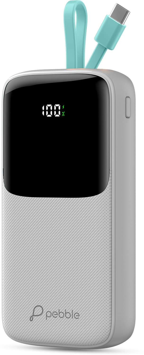 20000 mAh Compact Pocket Size Power Bank (Grey, Lithium Polymer, Fast Charging for Mobile)