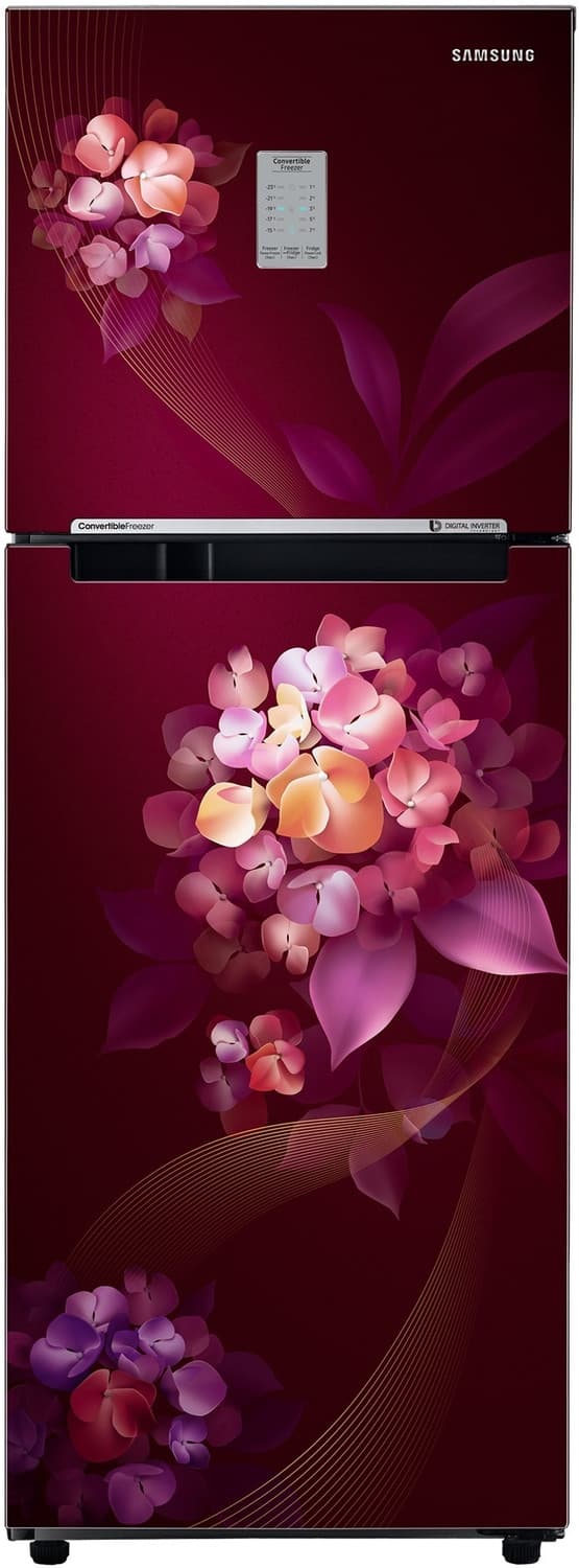 SAMSUNG 236 L Frost Free Double Door 2 Star Refrigerator