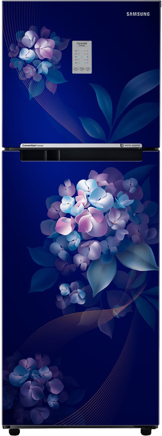 SAMSUNG 236 L Frost Free Double Door 2 Star Refrigerator