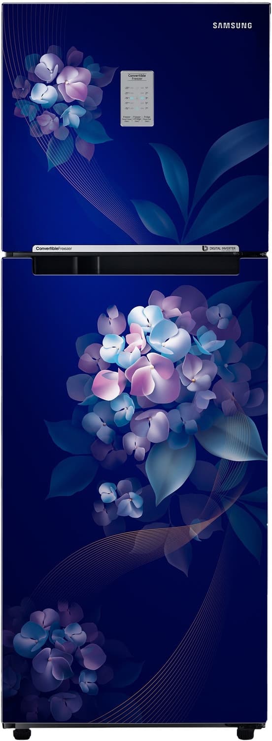 SAMSUNG 236 L Frost Free Double Door 2 Star Refrigerator