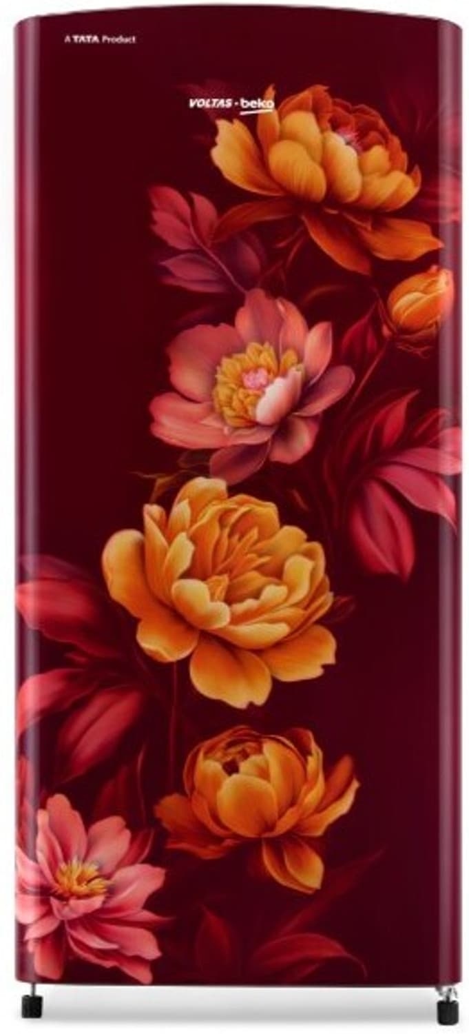 183 L Direct Cool Single Door 2 Star Refrigerator (Tropical Wine, RDC215C / 2S0WTR0M0000GO)