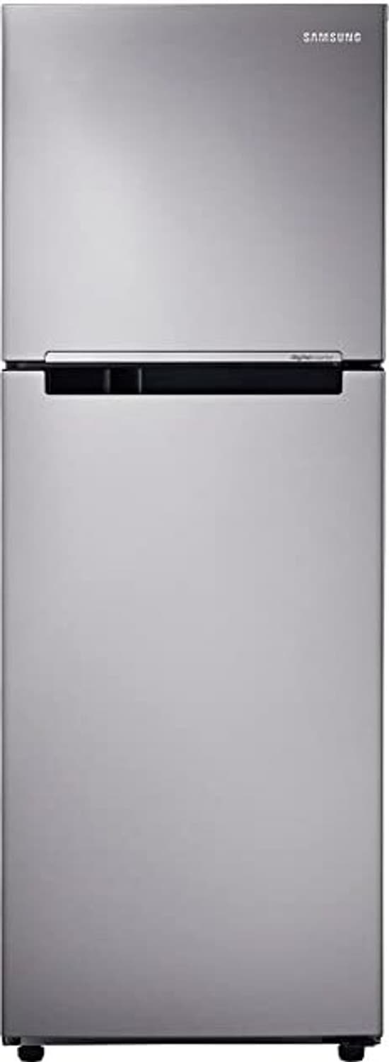 SAMSUNG 236 L Frost Free Double Door 2 Star Refrigerator