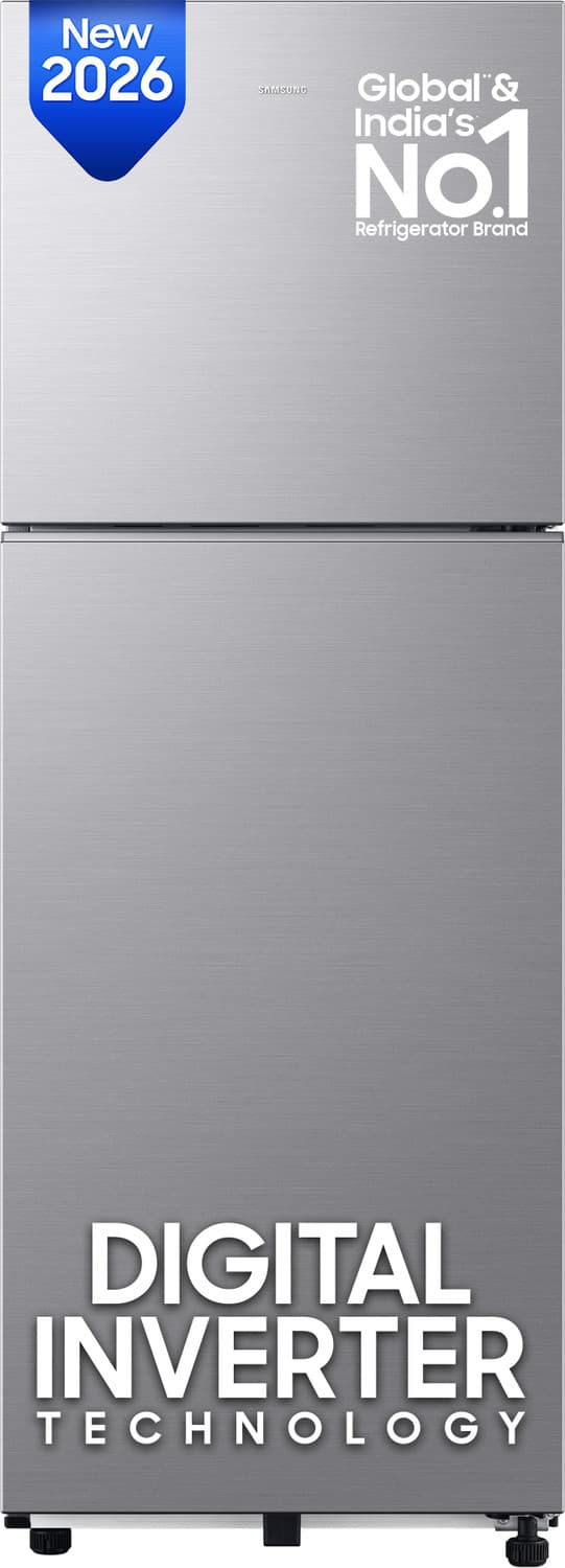 236 L Frost Free Double Door 2 Star Refrigerator (GRAY SILVER, RT40H28W2QHL)